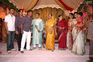 B. V. S. N. Prasad's Son Wedding Reception