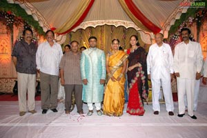 B. V. S. N. Prasad's Son Wedding Reception