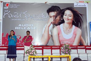 Gunde Jhallumandi Audio Release