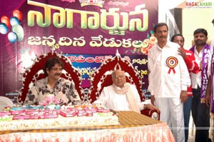 Nagarjuna Birthday Celebrations