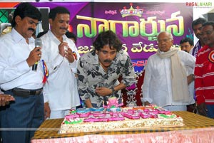 Nagarjuna Birthday Celebrations