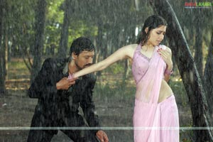 SJ Surya, Tamanna