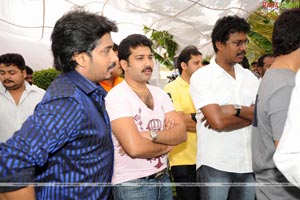 Raviteja-Allari Naresh-Priyamani Film Muhurat