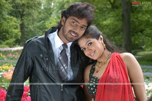 Allari Naresh, Meghana, Kamna Jetmalani