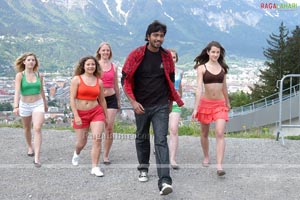 Allari Naresh, Meghana, Kamna Jetmalani