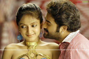 NTR, Nayanatara, Sheela