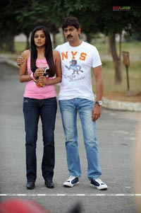 Jagapathi Babu, Priyamani