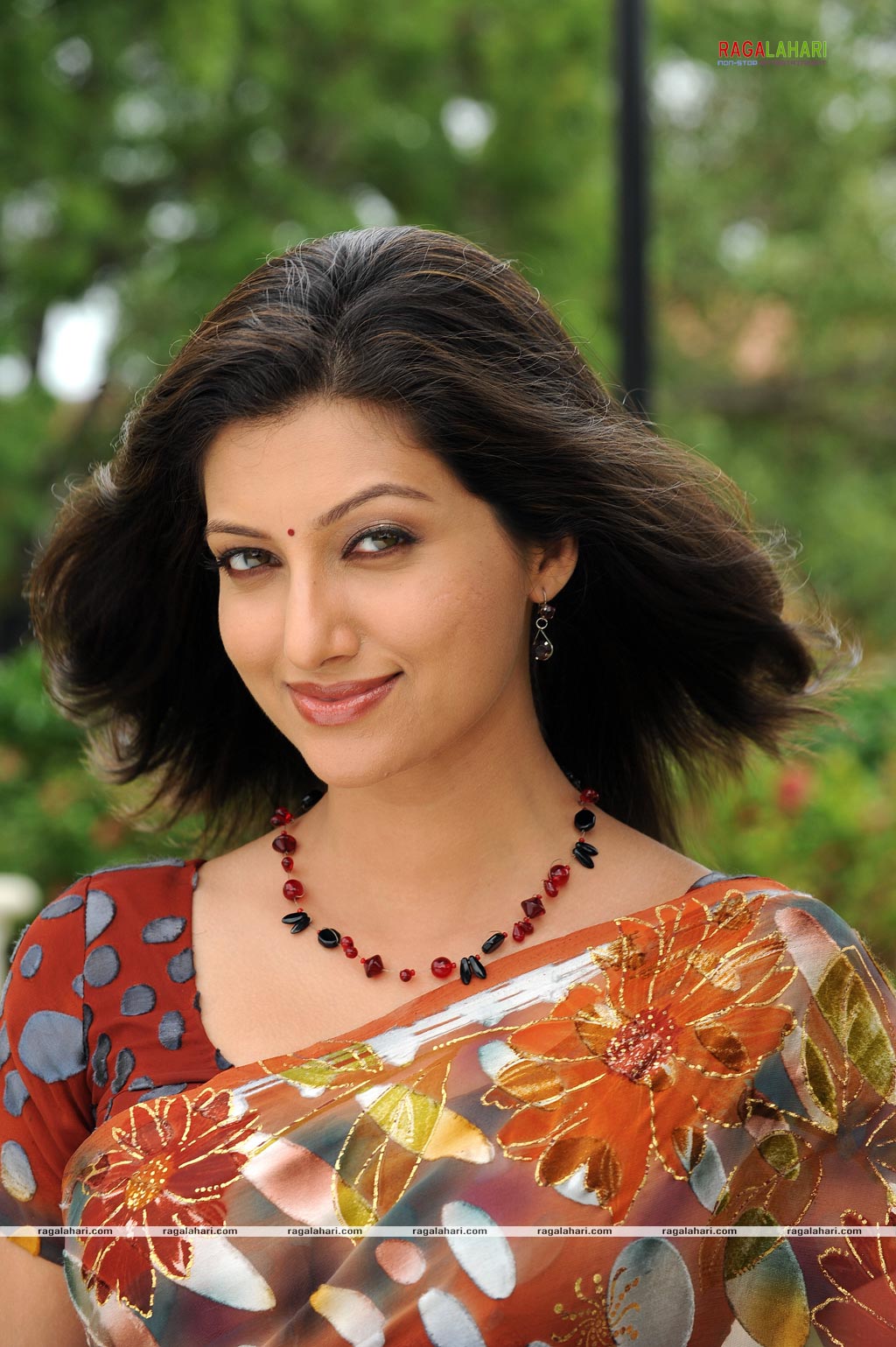 Hamsa Nandini