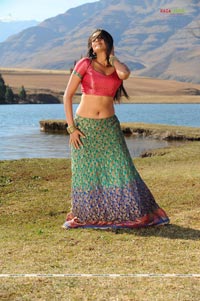 Priyamani Spicy Gallery | Page 5