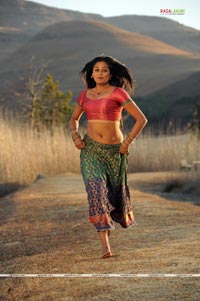 Priyamani Photo Gallery