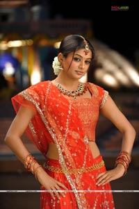 Priyamani Photo Gallery