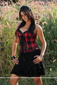 Priyamani Photo Gallery