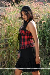 Priyamani Photo Gallery