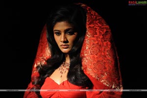 Priyamani Photo Gallery