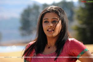 Priyamani Photo Gallery