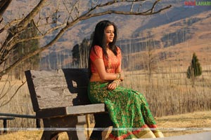 Priyamani Photo Gallery