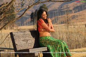 Priyamani Photo Gallery