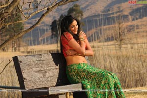 Priyamani Photo Gallery