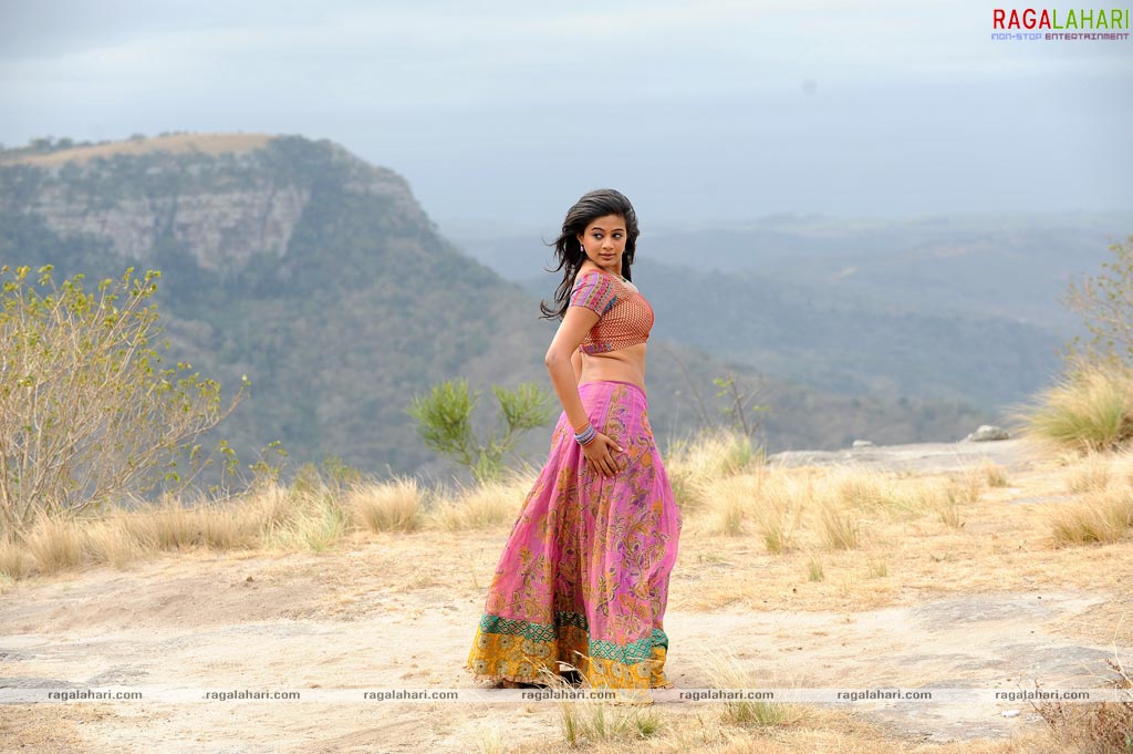 Priyamani