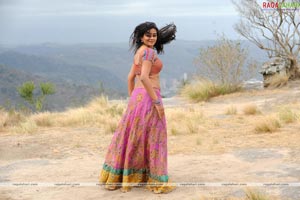 Priyamani Photo Gallery