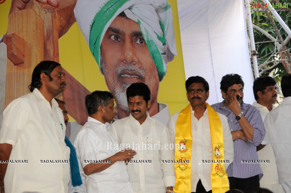 Chandrababu Naidu Fasting