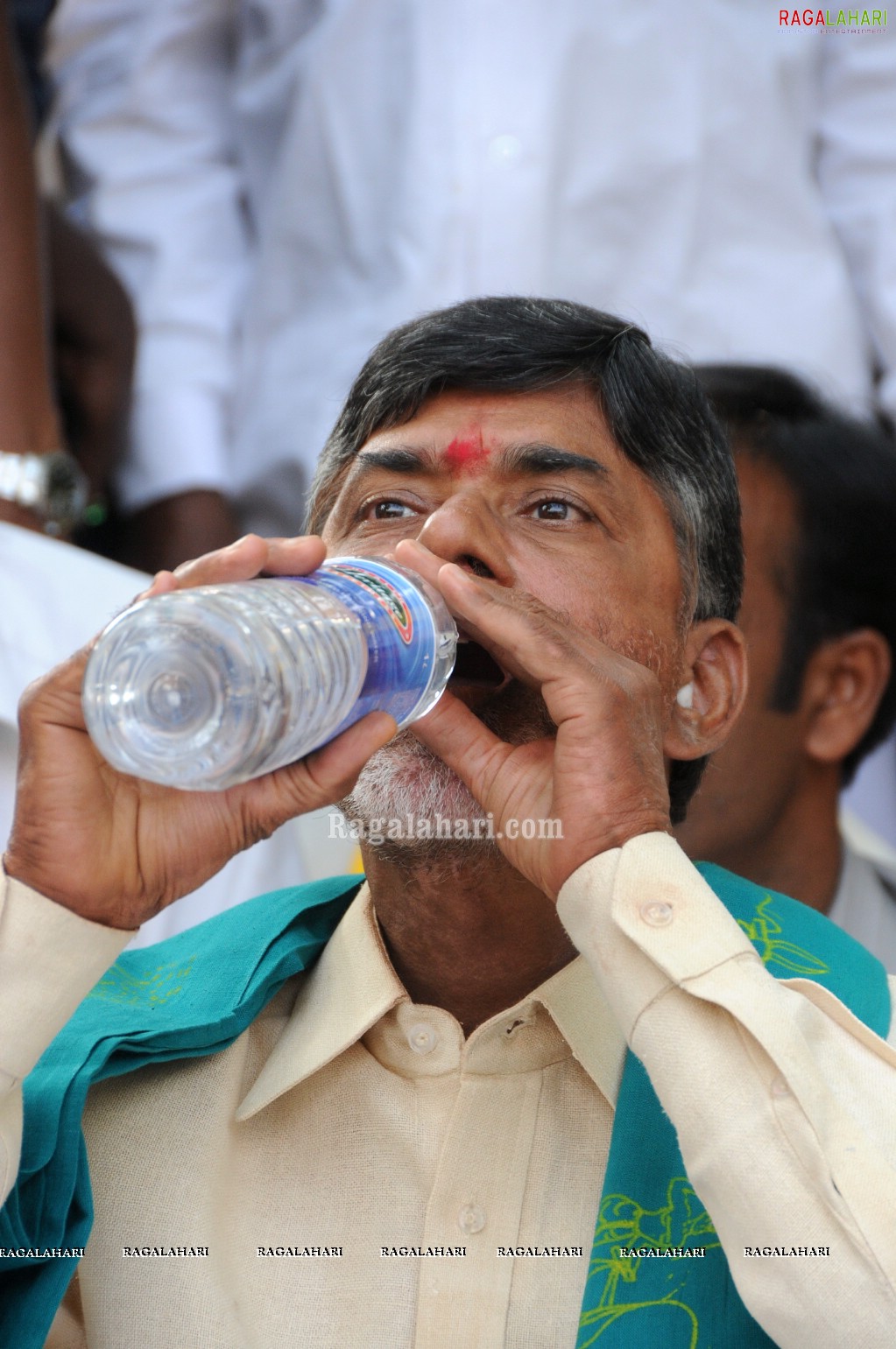 Chandrababu Naidu Fasting