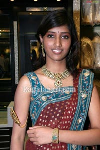 Launch of Bridal Collection at Manepally Jewellers