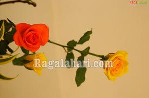 Rose Show at Hyderabad