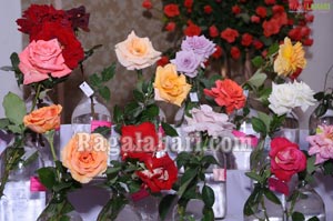 Rose Show at Hyderabad