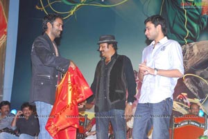 Vastadu Na Raju Audio Release