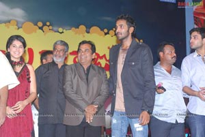 Vastadu Na Raju Audio Release