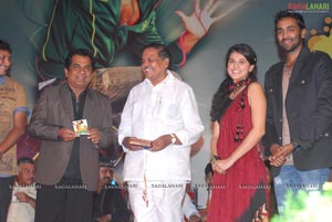 Vastadu Na Raju Audio Release