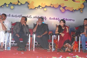 Vastadu Na Raju Audio Release