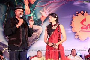 Vastadu Na Raju Audio Release