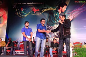 Vastadu Na Raju Audio Release