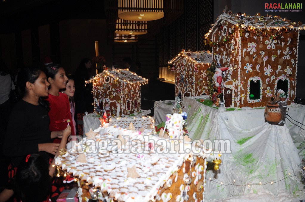 The Westin, Hyderabad Christmas Carnival 2010