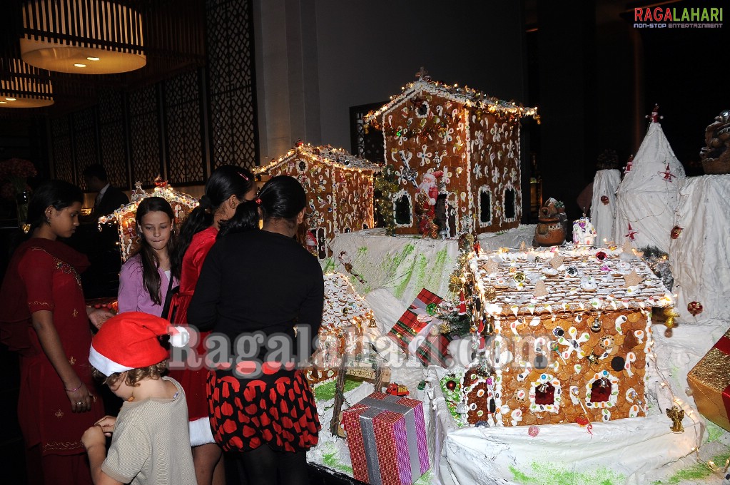 The Westin, Hyderabad Christmas Carnival 2010