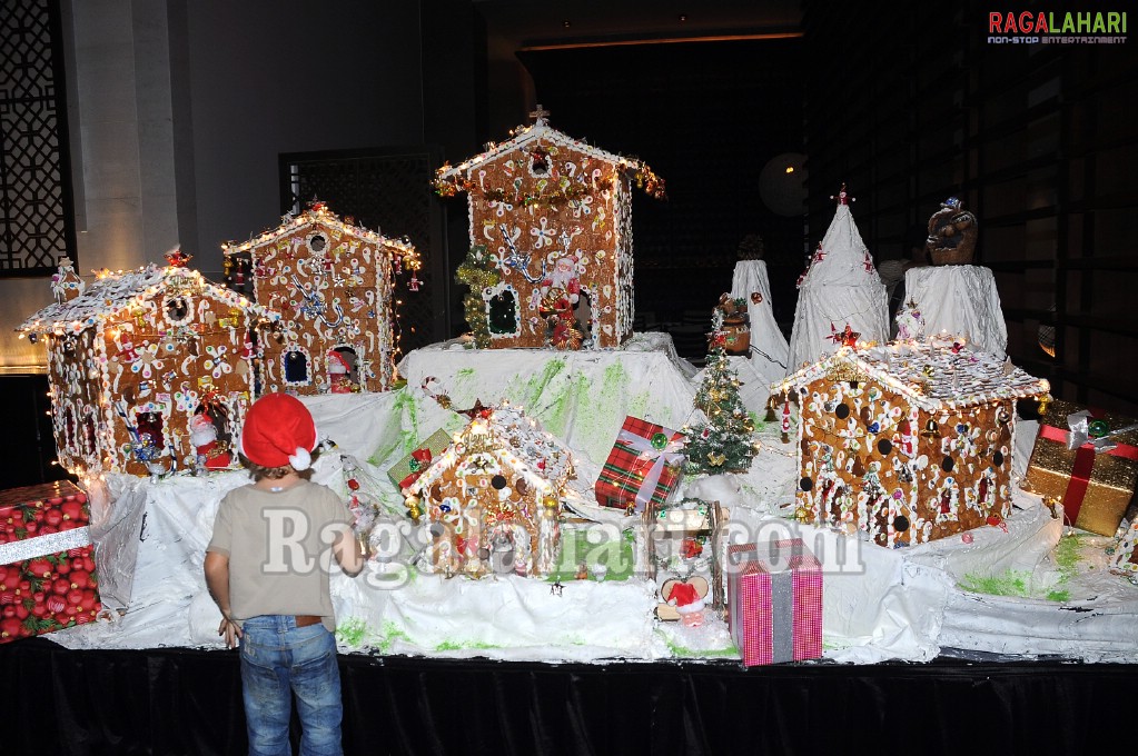 The Westin, Hyderabad Christmas Carnival 2010