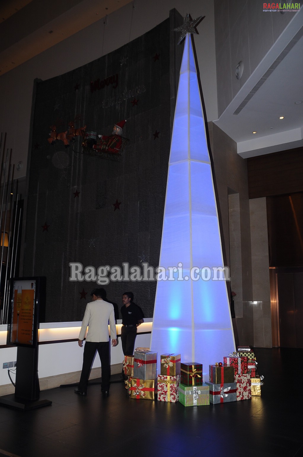 The Westin, Hyderabad Christmas Carnival 2010