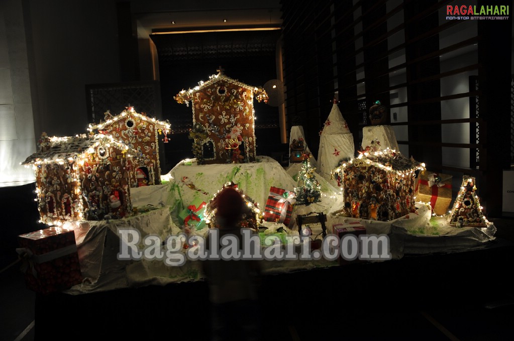 The Westin, Hyderabad Christmas Carnival 2010