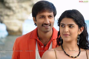 Gopichand, Deeksha Seth