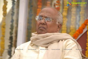 Akkineni Nageswara Rao Award 2011 Anounced to Hemamalini