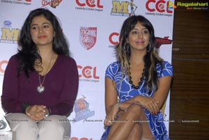 Celebrity Cricket League Curtain Raiser