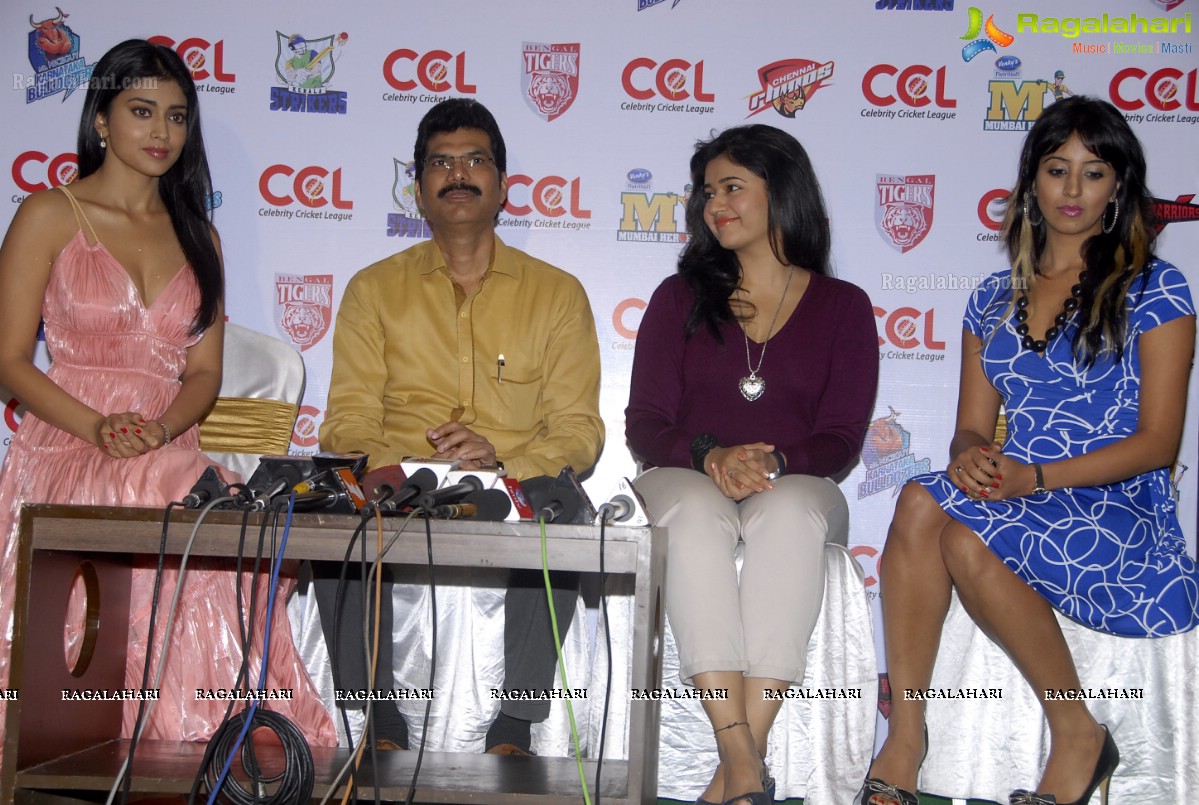 Celebrity Cricket League 2012 Curtain Raiser