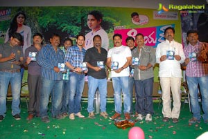 Dear Audio Release