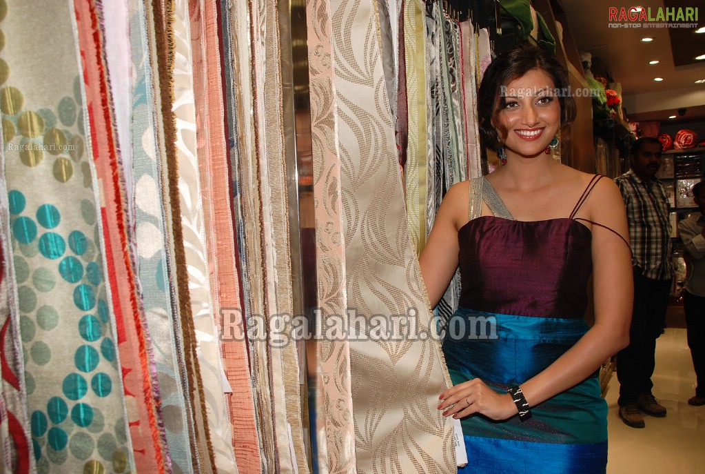 Hamsa Nandini Launches Panchatantra Offer at Darpan Furnishings