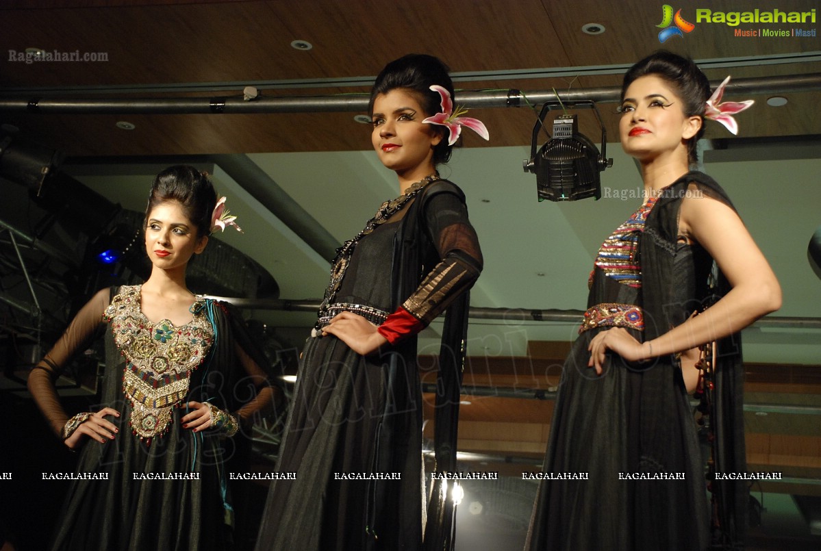 Hyderabad International Fashion Week 2011 (Day 3)