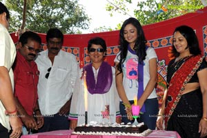 Lovely Heroine Shanvi Birthday