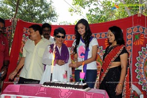 Lovely Heroine Shanvi Birthday