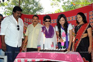 Lovely Heroine Shanvi Birthday